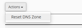 Reset DNS Zone